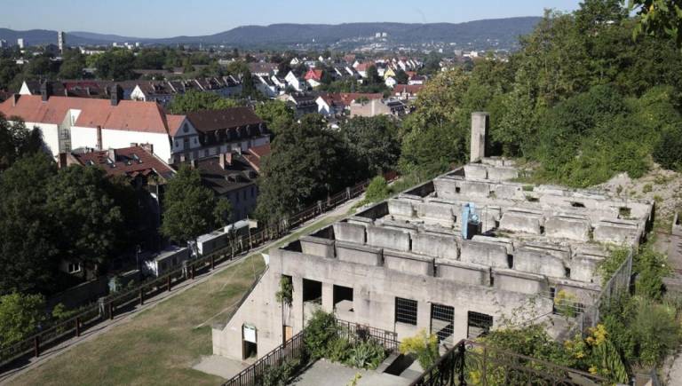 Herrlicher Blick von den Weinbergterrassen: im Vordergrund sind die Reste des früheren Gewächshauses zu sehen. Das Dach soll jetzt gesichert werden. © Fotos: Koch